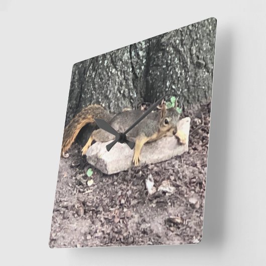 リス スクエア壁時計 (傾斜)