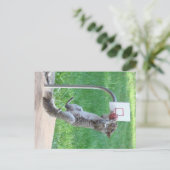 リス・スラムダンク ポストカード (スタンド正面)