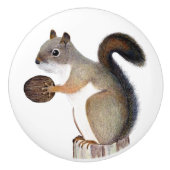 リス セラミックノブ (正面)