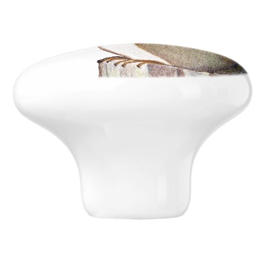 リス セラミックノブ (側面)