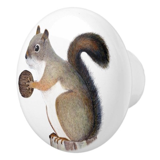 リス セラミックノブ (右)