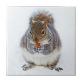 リス タイル (正面)