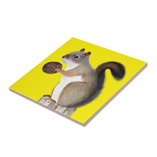 リス タイル (側面)