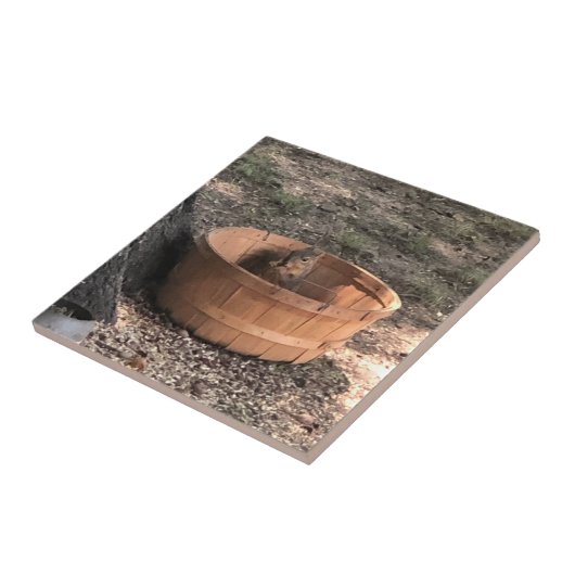 リス タイル (側面)