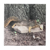 リス タイル (正面)