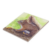 リス タイル (側面)