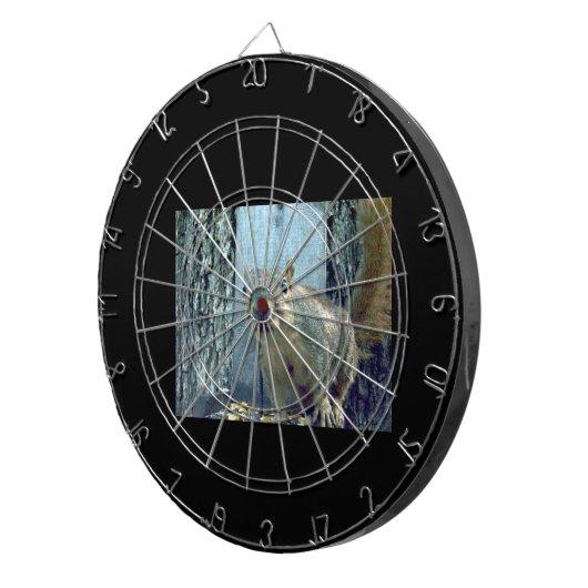 リス ダーツボード (正面右)