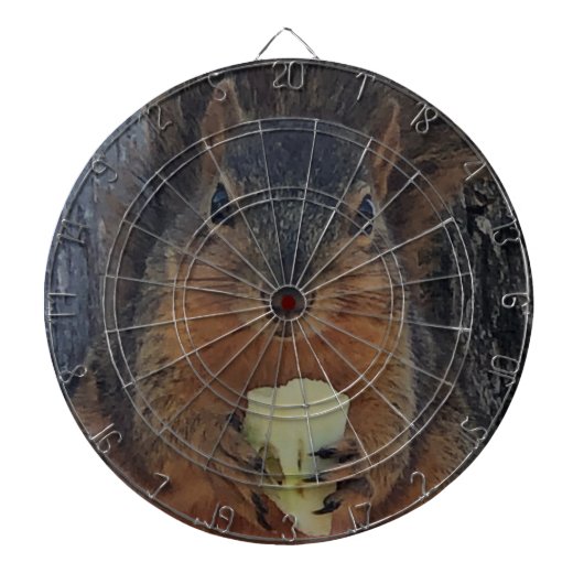 リス ダーツボード (正面)