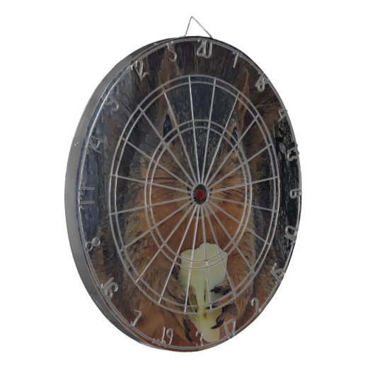 リス ダーツボード (正面左)