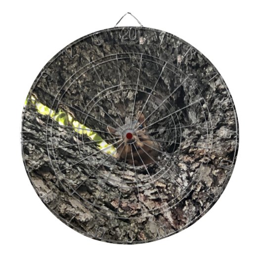 リス ダーツボード (正面)