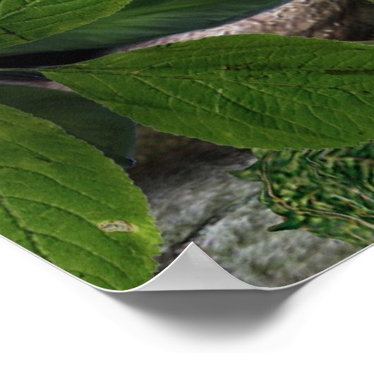 リス・ドラゴン ポスター (角)