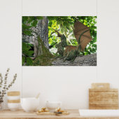 リス・ドラゴン ポスター (キッチン)