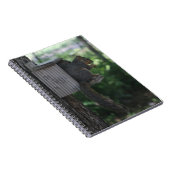 リス ノートブック (右側)