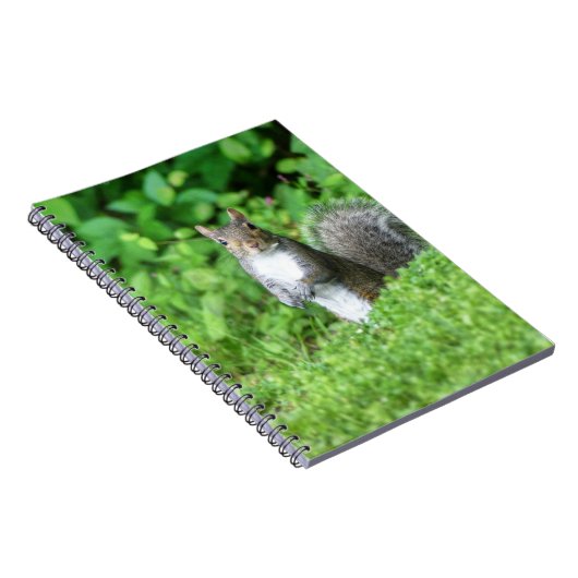 リス ノートブック (右側)