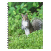 リス ノートブック (正面)