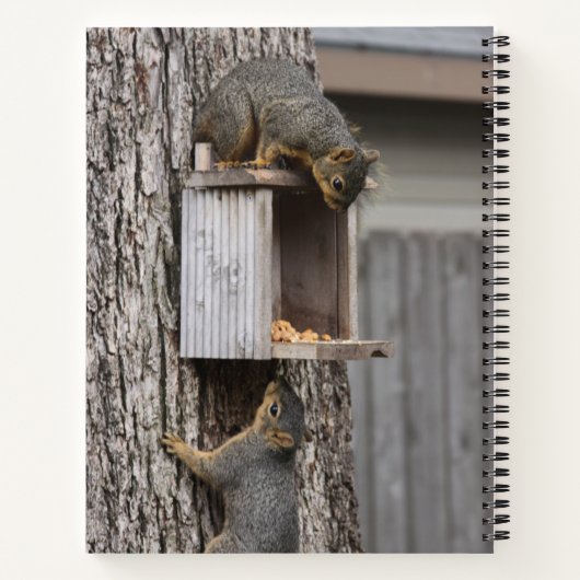 リス ノートブック (裏面)