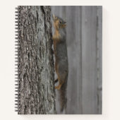 リス ノートブック (正面)