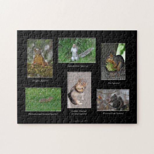 リス！パズル ジグソーパズル (横)