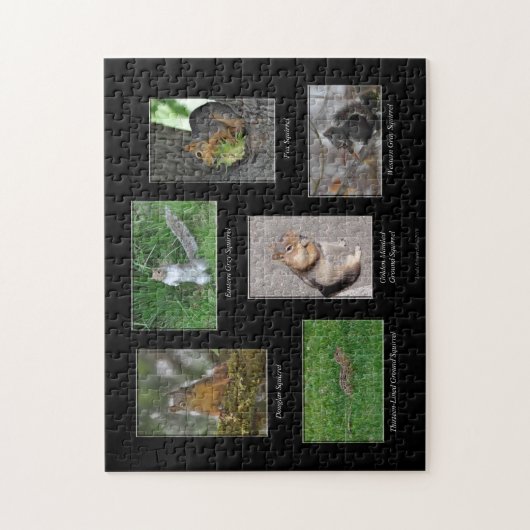 リス！パズル ジグソーパズル (縦)