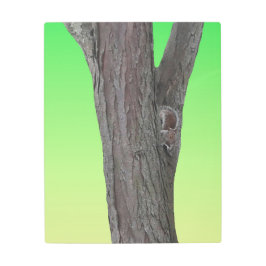 リス・ファナティック メタルプリント