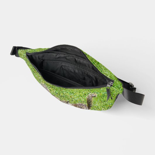 リス ファニーパック (見開き)