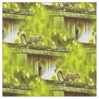 リス ファブリック