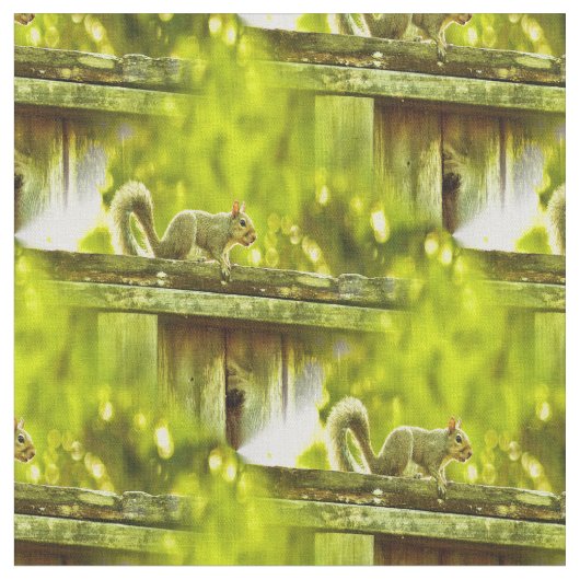 リス ファブリック (クローズアップ)