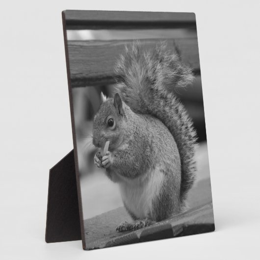 リス フォトプラーク (側面)