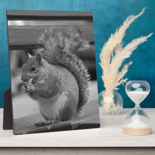 リス フォトプラーク (側面)