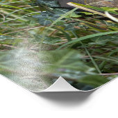 リス フォトプリント            (角)