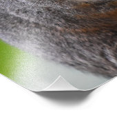 リス フォトプリント            (角)