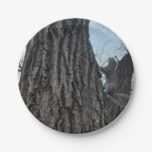 リス ペーパープレート (正面)