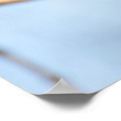 リス ポスター (角)