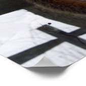 リス ポスター (角)