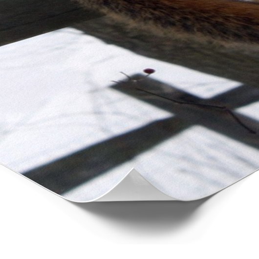 リス ポスター (角)