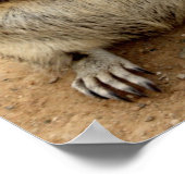 リス ポスター (角)