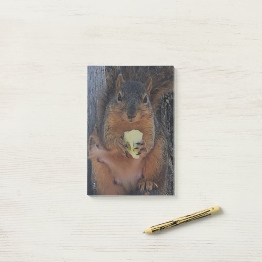 リス ポストイット (デスク上)