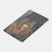 リス ポストイット (アングル)