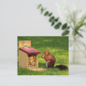 リス ポストカード (スタンド正面)