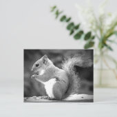 リス ポストカード (スタンド正面)