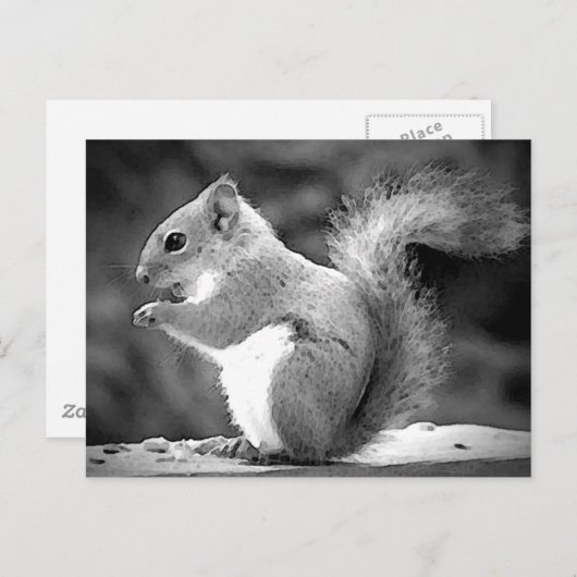 リス ポストカード (正面/裏面)