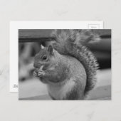 リス ポストカード (正面/裏面)