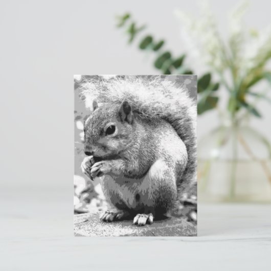 リス ポストカード (スタンド正面)
