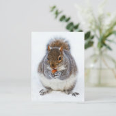 リス ポストカード (スタンド正面)