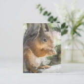 リス ポストカード (スタンド正面)