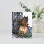 リス ポストカード (スタンド正面)