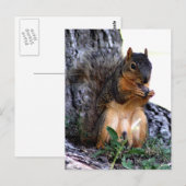 リス ポストカード (正面/裏面)