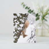 リス ポストカード (スタンド正面)