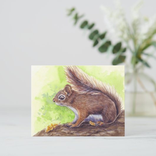 リス ポストカード (スタンド正面)