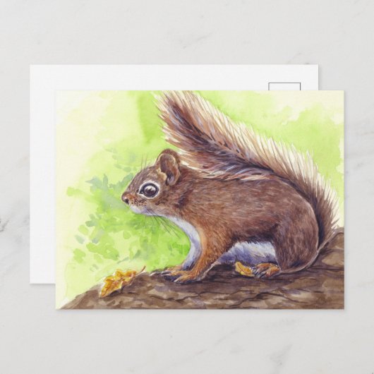 リス ポストカード (正面/裏面)